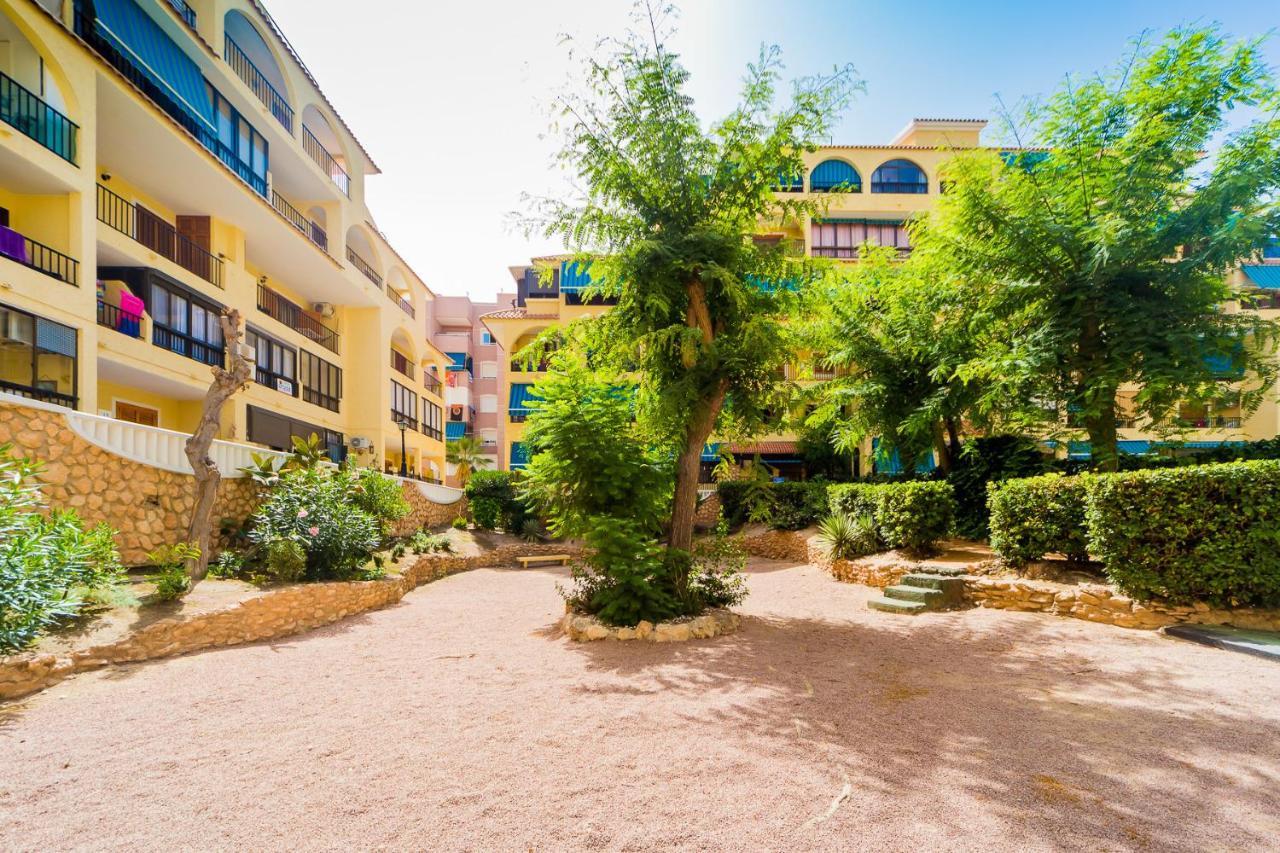 Apartamento Alegria Id36 La Mata  Luaran gambar