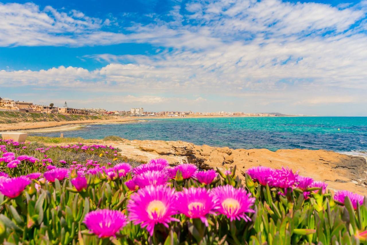 Apartamento Alegria Id36 La Mata  Luaran gambar